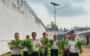 Panen Kangkung Capai 72,2 Kilogram, Rutan Kelas I Palembang Perkuat Program Ketahanan Pangan Nasional