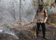 Tony Saputra Soroti Strategi Collaborative Policing Hadapi Karhutla dan Ancaman Asap Lintas Batas